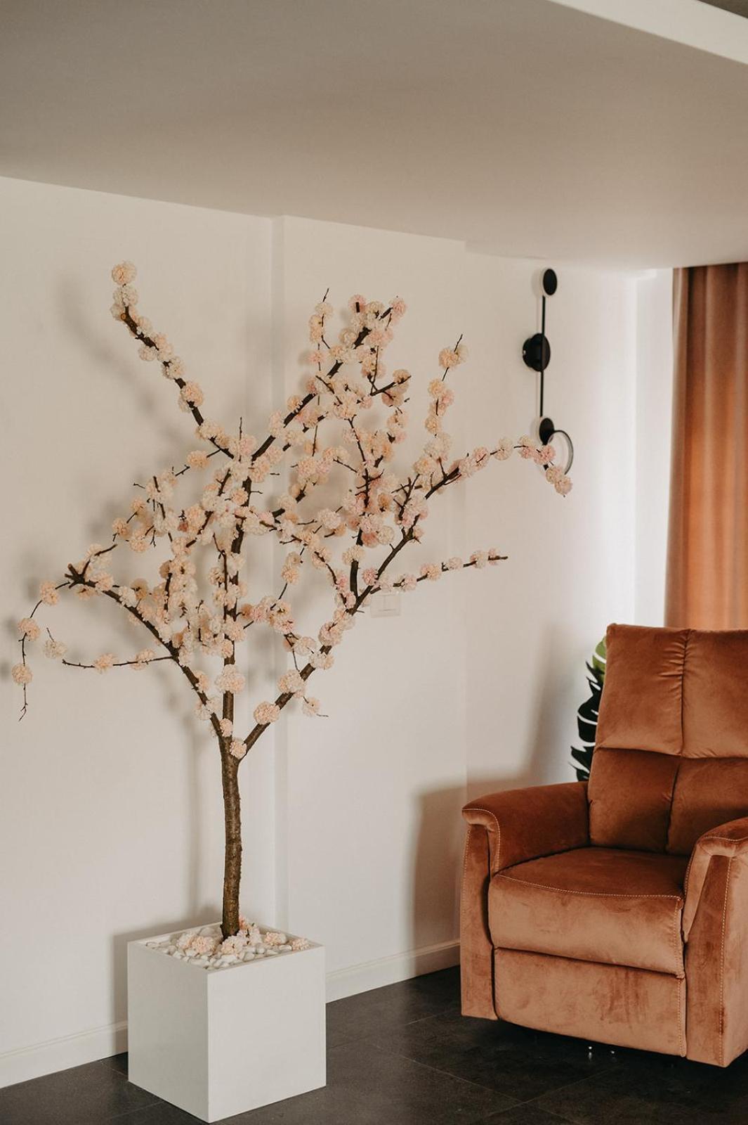 Cazare Baile Figa -The Home Drm Beclean  Esterno foto